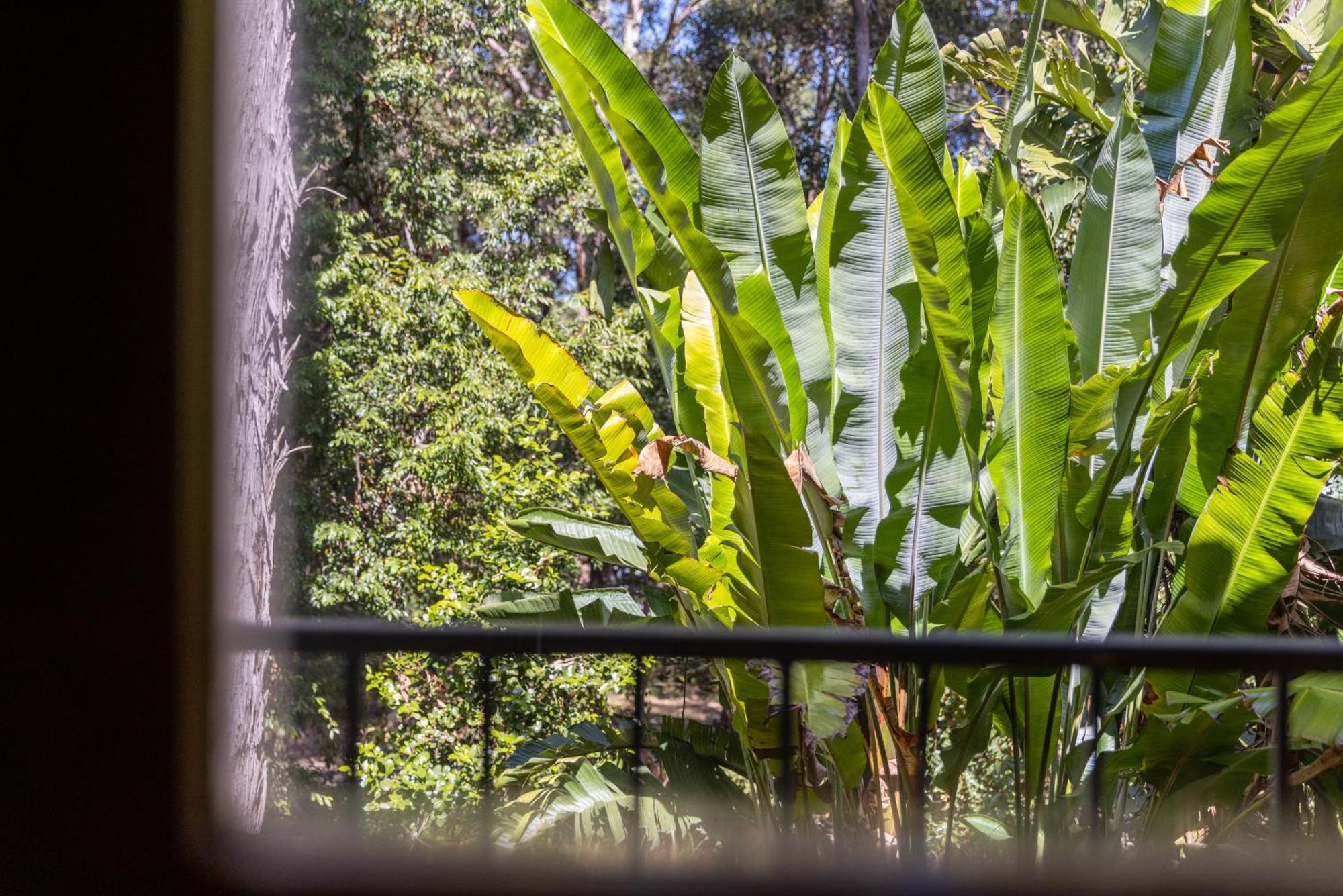Sanctuary Resort Motor Inn Coffs Harbour Luaran gambar